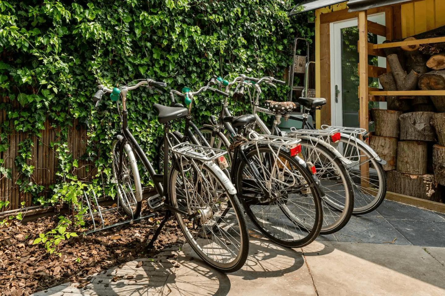 Cozy House - Fietsverhuur, Eigen Keuken En Badkamer Apartment *