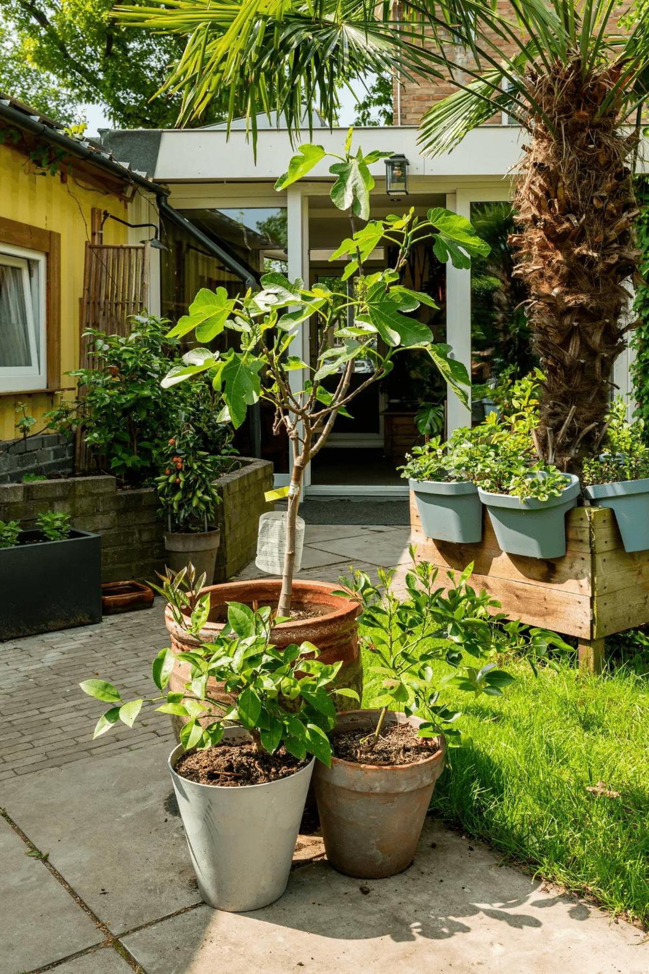 Cozy House - Fietsverhuur, Eigen Keuken En Badkamer