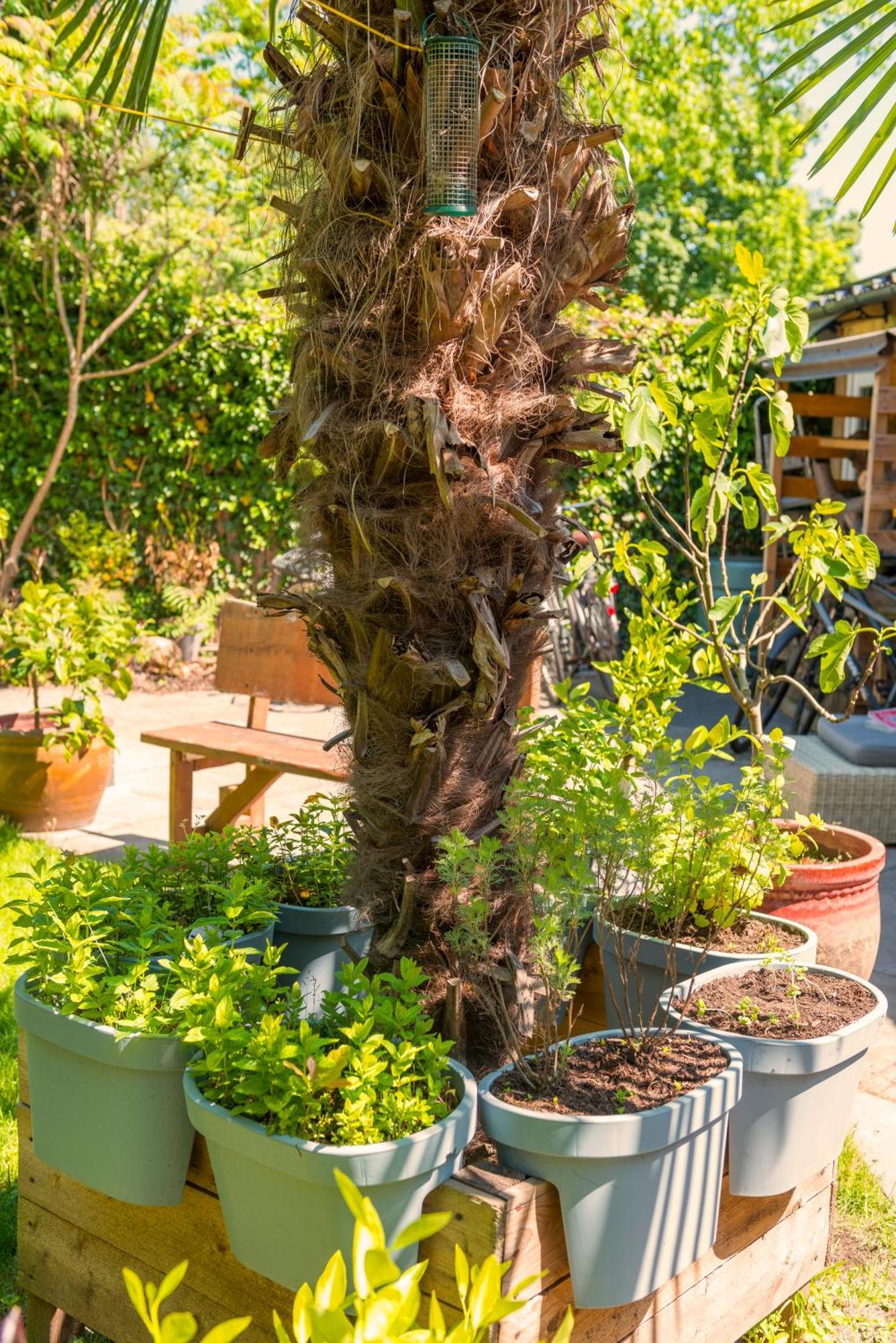 Appartamento Cozy House - Fietsverhuur, Eigen Keuken En Badkamer