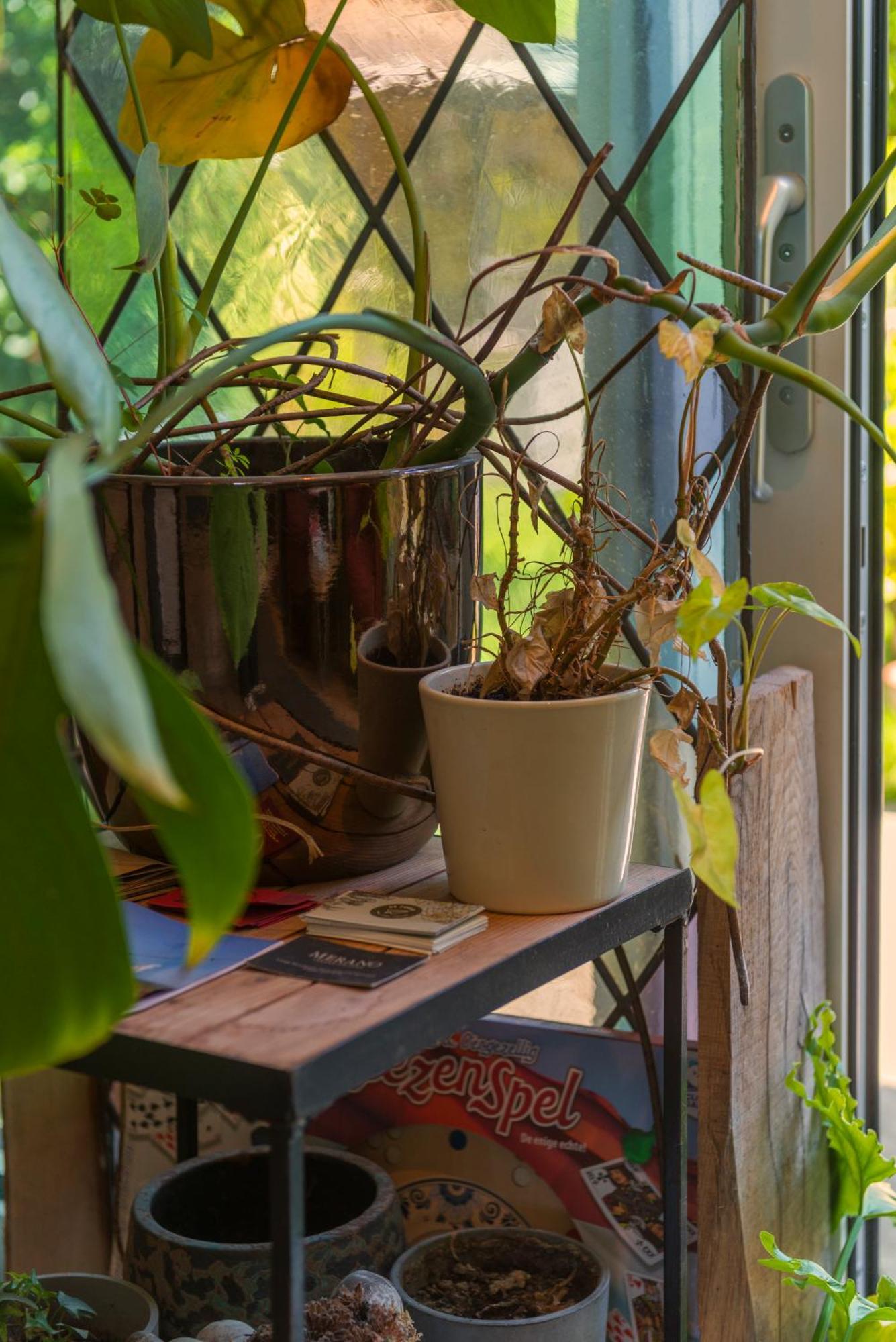 Appartement Cozy House - Fietsverhuur, Eigen Keuken En Badkamer Nimègue